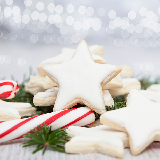 Cookies and candy canes on pine sprigs